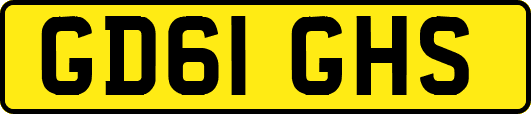 GD61GHS
