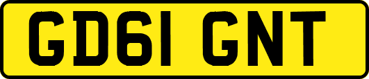 GD61GNT