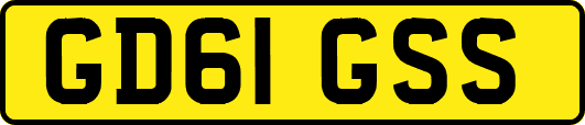 GD61GSS