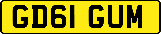 GD61GUM