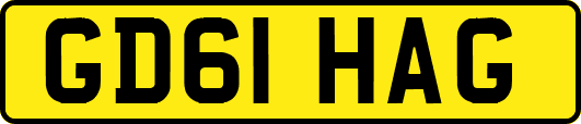 GD61HAG