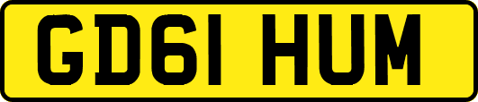 GD61HUM