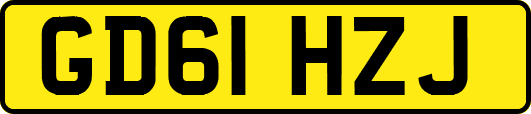 GD61HZJ