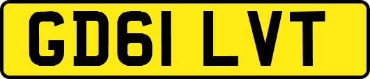 GD61LVT