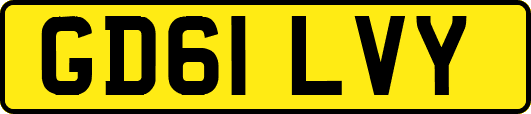 GD61LVY