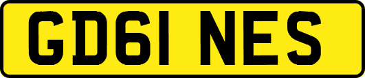GD61NES