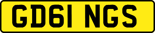 GD61NGS
