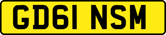 GD61NSM