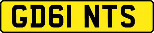 GD61NTS
