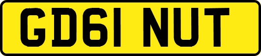 GD61NUT