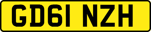 GD61NZH