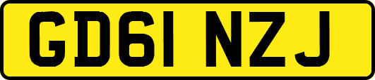 GD61NZJ