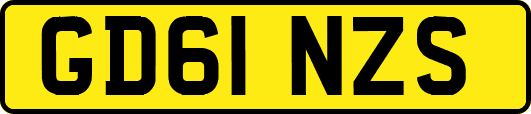 GD61NZS