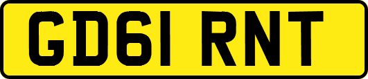 GD61RNT