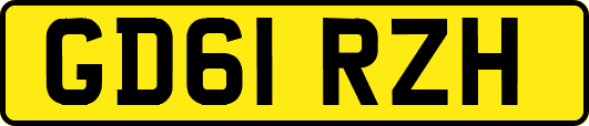 GD61RZH