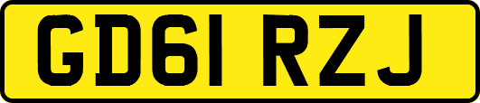 GD61RZJ