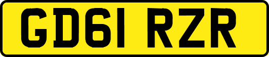 GD61RZR