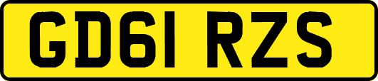 GD61RZS