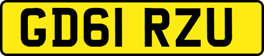 GD61RZU