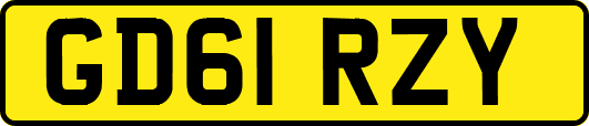 GD61RZY
