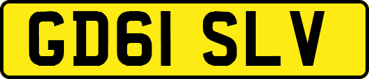 GD61SLV