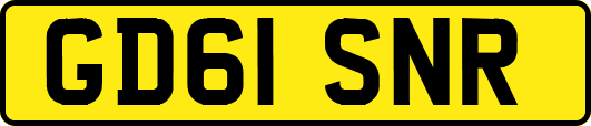 GD61SNR