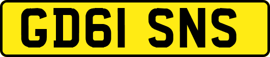 GD61SNS