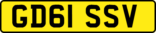 GD61SSV