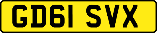 GD61SVX