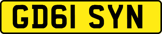 GD61SYN