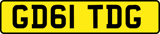 GD61TDG