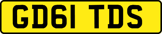 GD61TDS