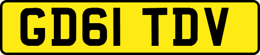 GD61TDV