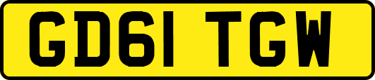 GD61TGW