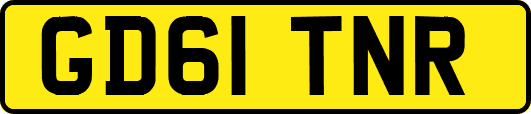 GD61TNR