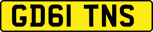 GD61TNS