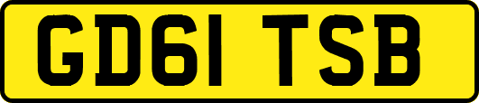 GD61TSB
