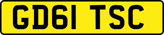 GD61TSC
