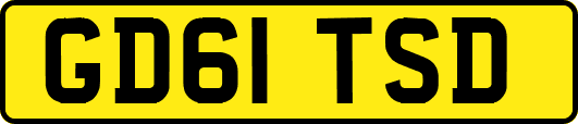 GD61TSD
