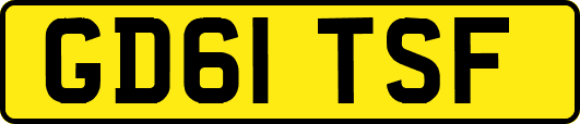 GD61TSF