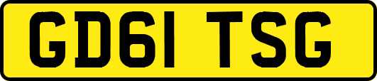 GD61TSG