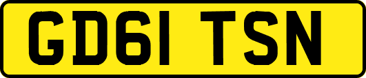 GD61TSN