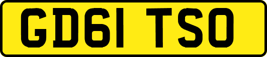 GD61TSO