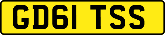 GD61TSS