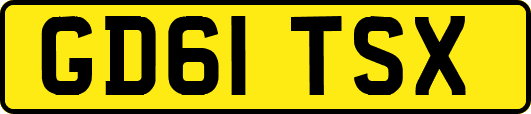 GD61TSX