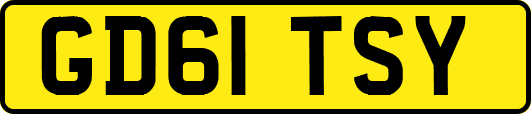 GD61TSY