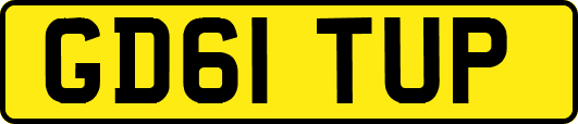 GD61TUP