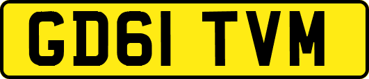 GD61TVM