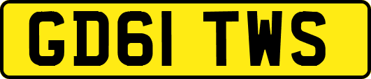 GD61TWS