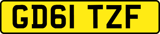 GD61TZF